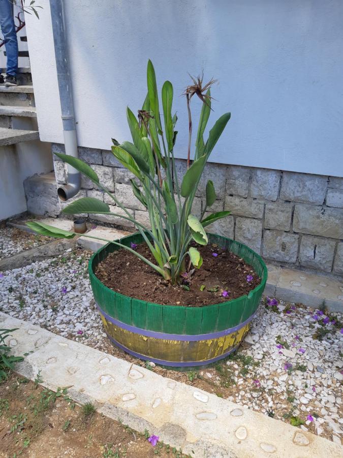 Apartman Vede Bacina Exterior foto